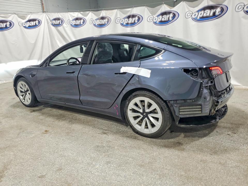 Продажа на аукционе авто 2023 Tesla Model 3, vin: 5YJ3E1EA4PF448369, номер лота: 55447216