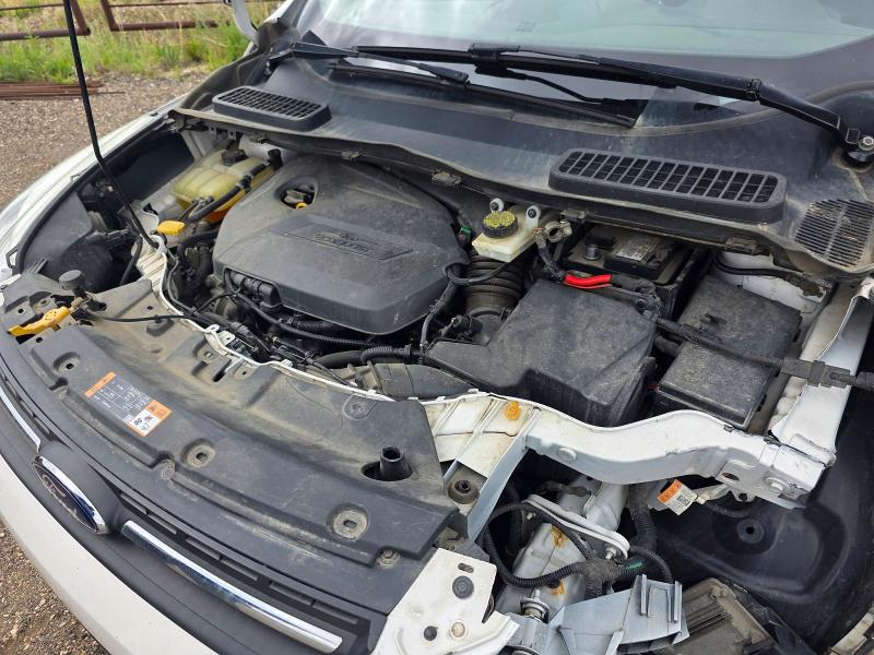 56517806 :رقم المزاد ، 1FMCU9GX0EUA40793 vin ، 2014 Ford Escape مزاد بيع