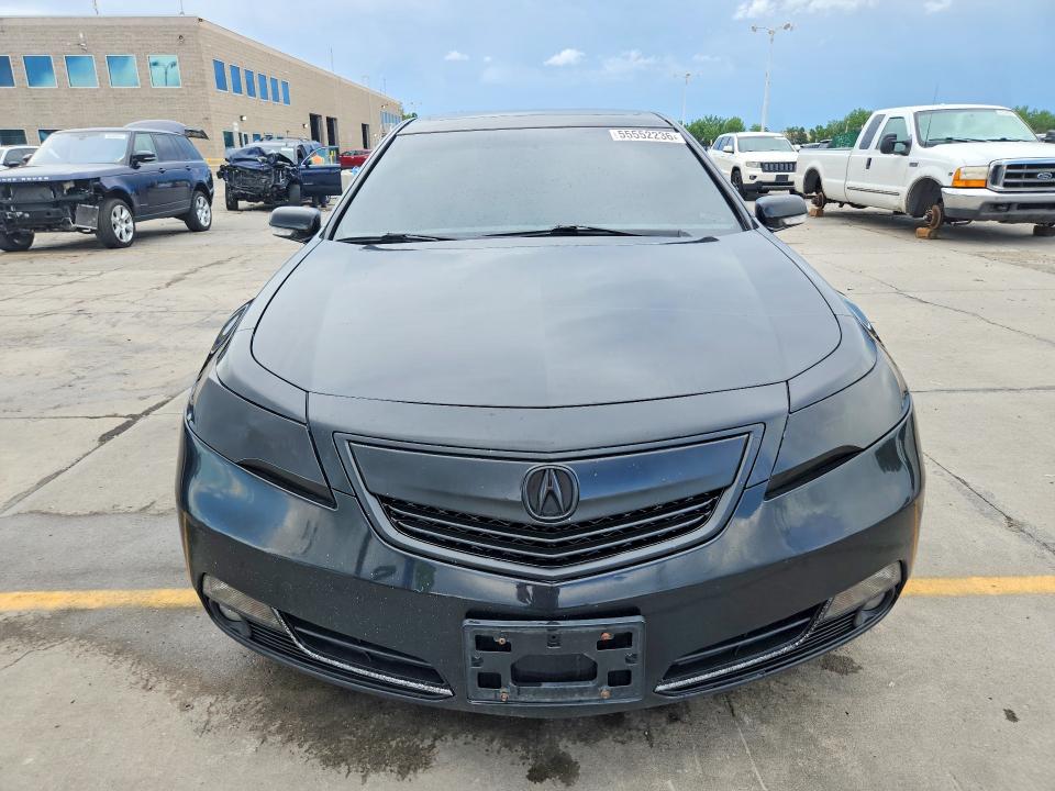 55552236 :رقم المزاد ، 19UUA9F51DA005148 vin ، 2013 Acura Tl مزاد بيع