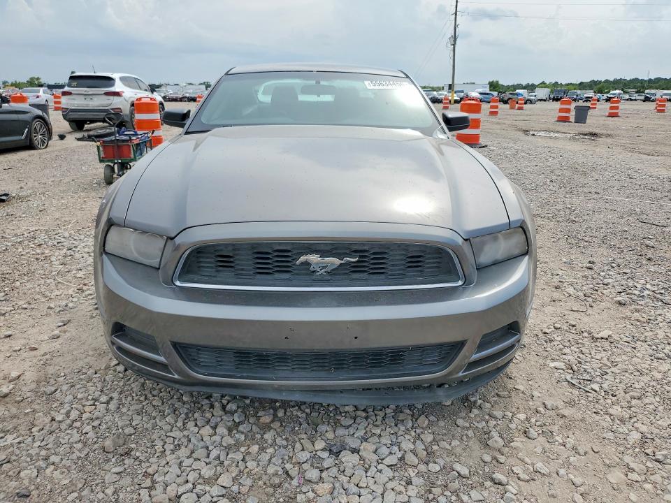 Продажа на аукционе авто 2014 Ford Mustang, vin: 1ZVBP8AMXE5277539, номер лота: 55634456