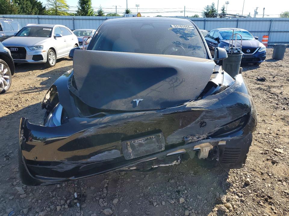 Aukcja sprzedaży 2023 Tesla Model Y, vin: 7SAYGDEE4PF628068, numer aukcji: 55785066