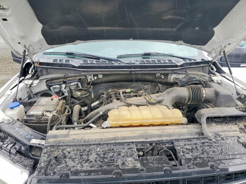 55537416 :رقم المزاد ، 1FTEW1EP2LKE74329 vin ، 2020 Ford F150 مزاد بيع