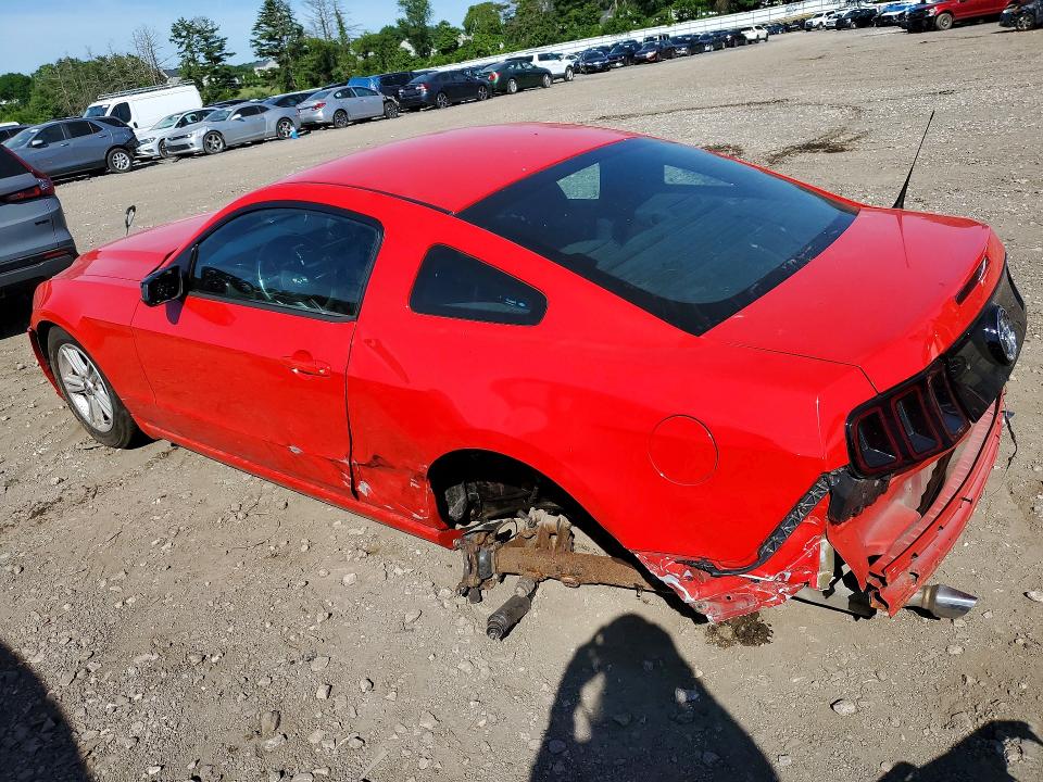 Продаж на аукціоні авто 2014 Ford Mustang, vin: 1ZVBP8AMXE5249496, номер лоту: 55429016
