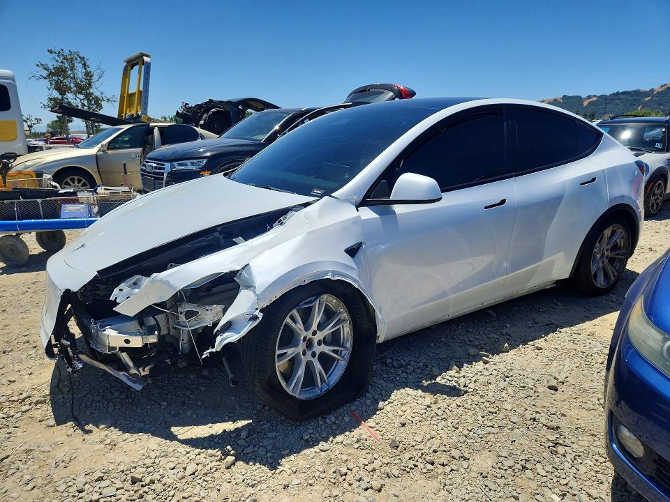 Продаж на аукціоні авто 2023 Tesla Model Y, vin: 7SAYGDEE2PA077507, номер лоту: 56152616