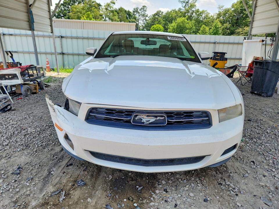2010 Ford Mustang მანქანა იყიდება აუქციონზე, vin: 1ZVBP8AN6A5104393, აუქციონის ნომერი: 58899096
