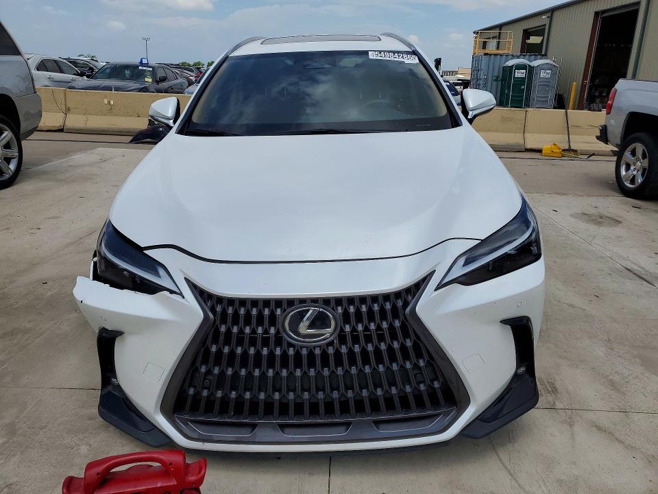 Продаж на аукціоні авто 2025 Lexus Nx, vin: JTJGDCAZ2S5024420, номер лоту: 54984286