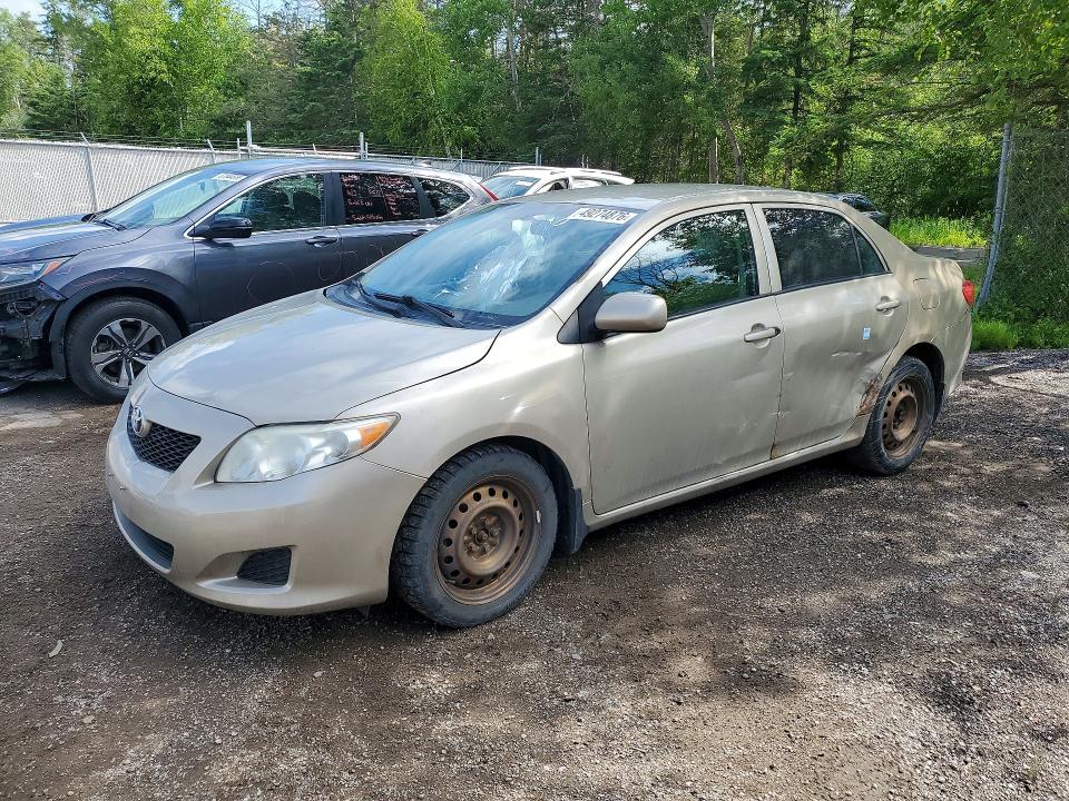 49274876 :رقم المزاد ، 2T1BU4EE3AC324513 vin ، 2010 Toyota Corolla مزاد بيع