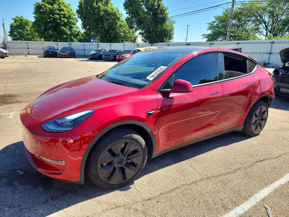 Продажа на аукционе авто 2024 Tesla Model  Y, vin: 7SAYGAEEXRF181277, номер лота: 54923746