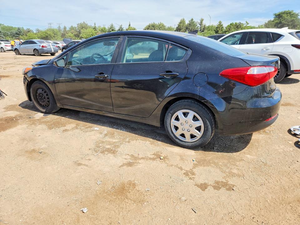 Продаж на аукціоні авто 2016 Kia Forte, vin: KNAFK4A6XG5573321, номер лоту: 55548786