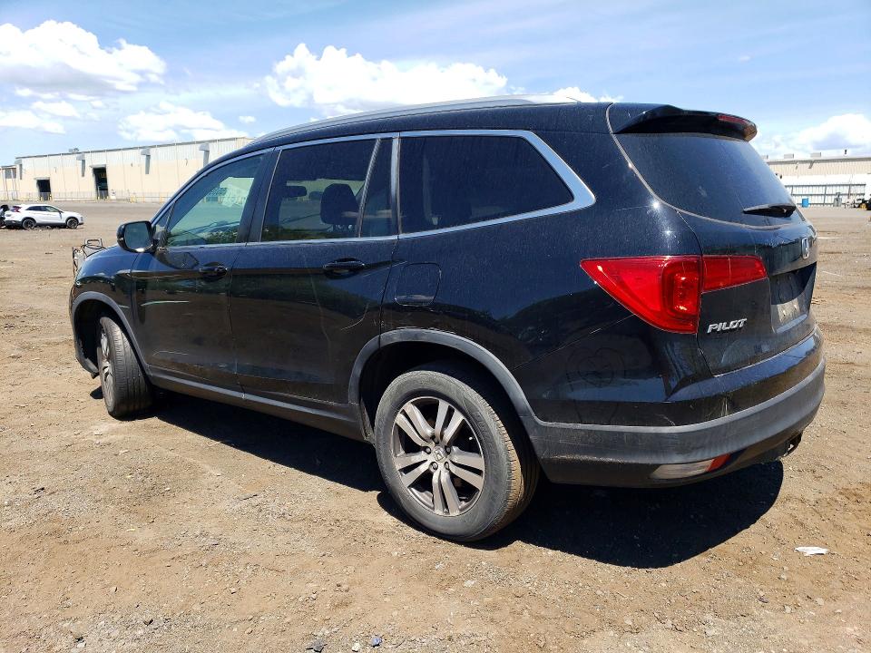 Продаж на аукціоні авто 2016 Honda Pilot, vin: 5FNYF6H55GB095901, номер лоту: 55396106