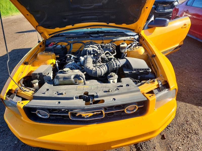 2007 Ford Mustang მანქანა იყიდება აუქციონზე, vin: 1ZVHT84N375352997, აუქციონის ნომერი: 56496106