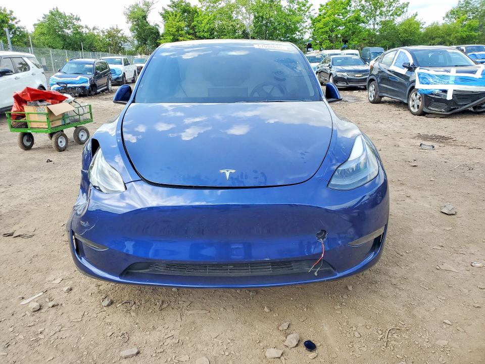 Продаж на аукціоні авто 2023 Tesla Model Y, vin: 7SAYGDEF0PF616332, номер лоту: 57594646