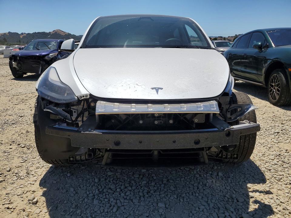 Продаж на аукціоні авто 2023 Tesla Model Y, vin: 7SAYGDEE8PF825177, номер лоту: 57243256
