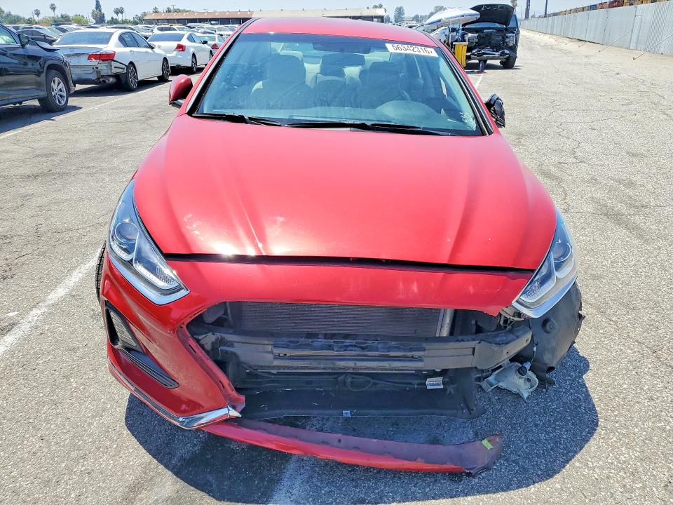 Продажа на аукционе авто 2019 Hyundai Sonata, vin: 5NPE24AF8KH799266, номер лота: 56342316