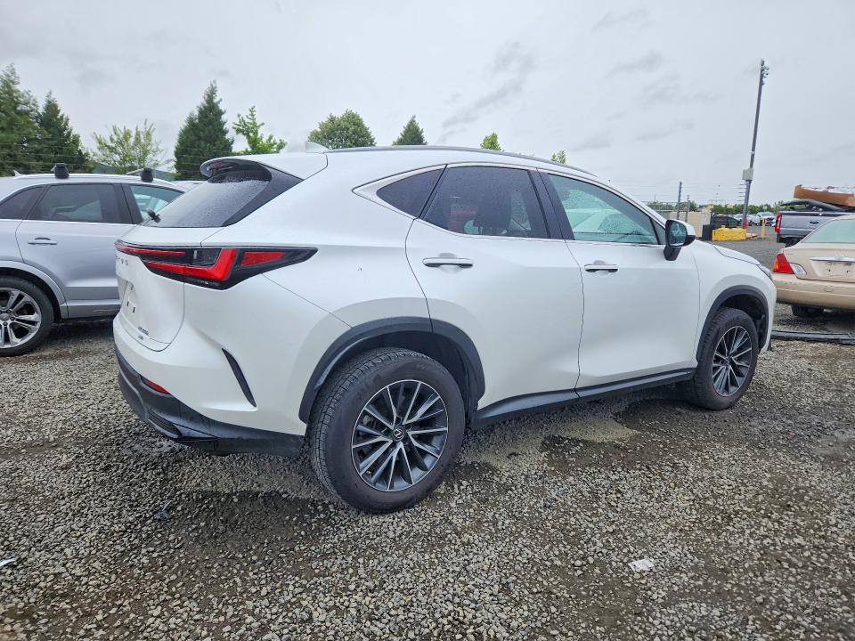 Продаж на аукціоні авто 2023 Lexus Nx, vin: JTJAKCEZ6P5007133, номер лоту: 56609946