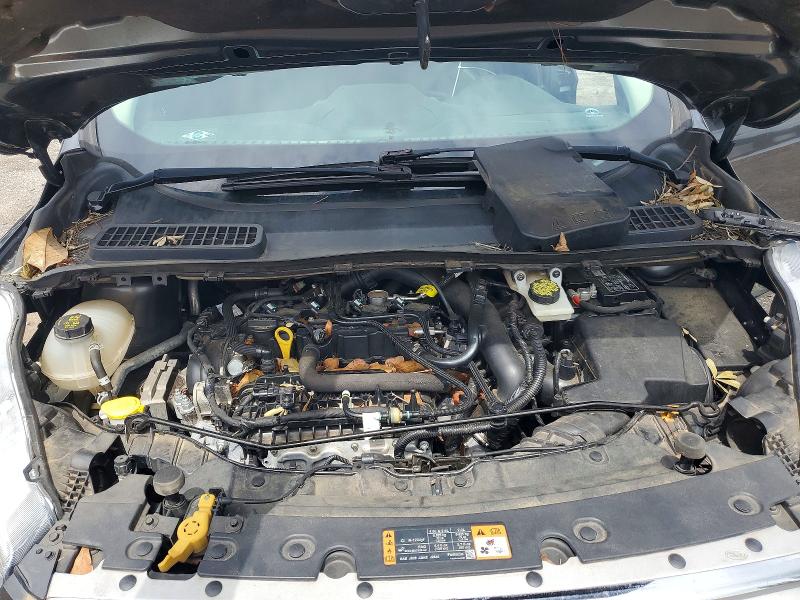55214366 :رقم المزاد ، 1FMCU0GD7KUA11241 vin ، 2019 Ford Escape مزاد بيع