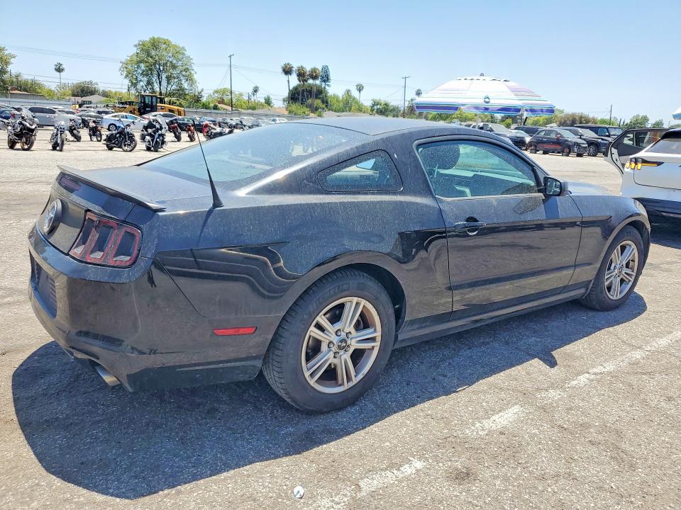 55636786 :رقم المزاد ، 1ZVBP8AM8D5282401 vin ، 2013 Ford Mustang مزاد بيع