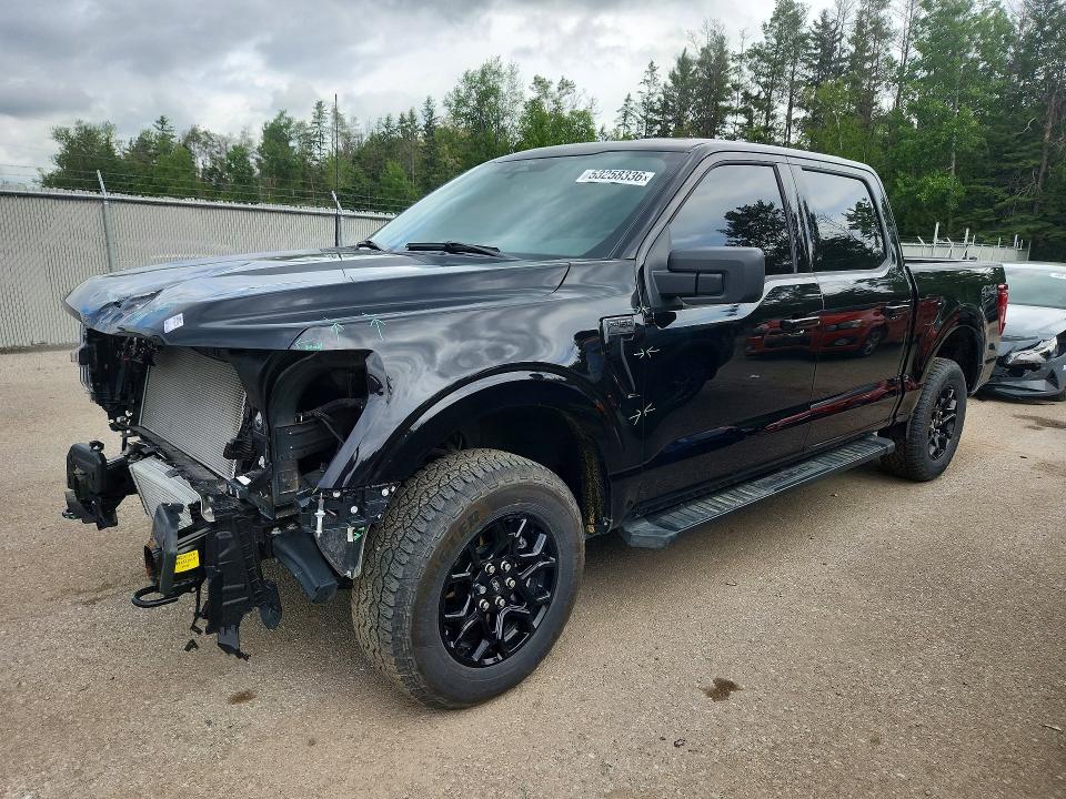 53258336 :رقم المزاد ، 1FTEW3LP6SKD42459 vin ، 2025 Ford F150 مزاد بيع