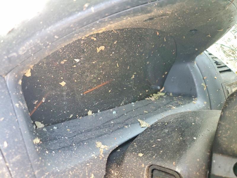 58762396 :رقم المزاد ، 1HGCM56445A166579 vin ، 2005 Honda Accord مزاد بيع