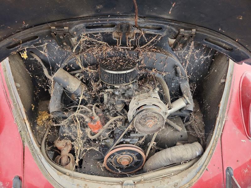 58970116 :رقم المزاد ، 119338430 vin ، 1969 Volkswagen Sd113 مزاد بيع