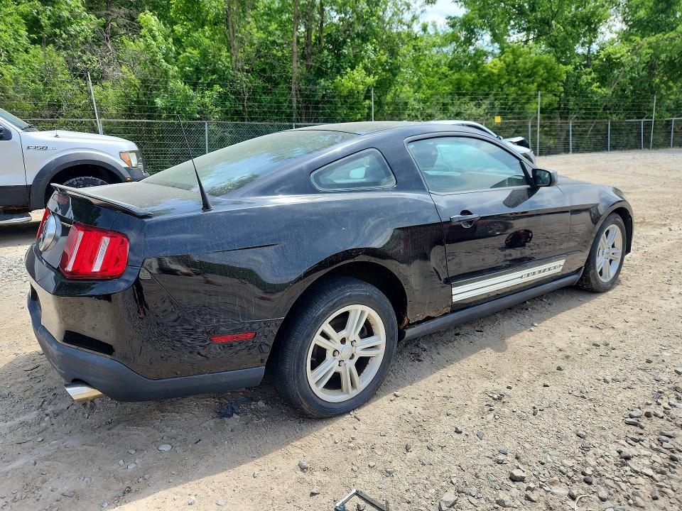 Продаж на аукціоні авто 2010 Ford Mustang, vin: 1ZVBP8AN4A5163183, номер лоту: 56689406