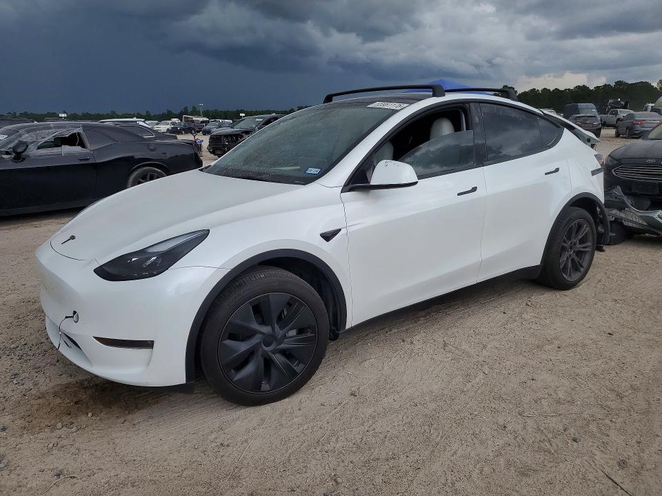 Продажа на аукционе авто 2024 Tesla Model Y, vin: 7SAYGDEE6RA313952, номер лота: 55981176