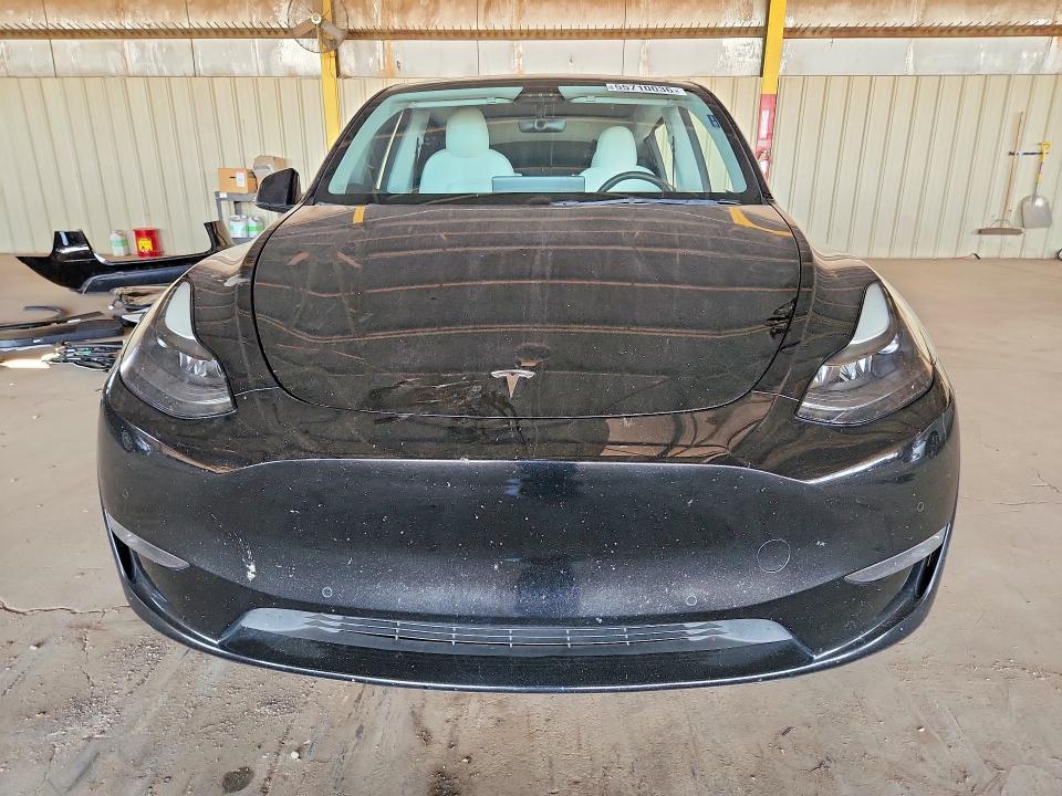 Продаж на аукціоні авто 2021 Tesla Model Y, vin: 5YJYGDEF5MF211575, номер лоту: 55710036