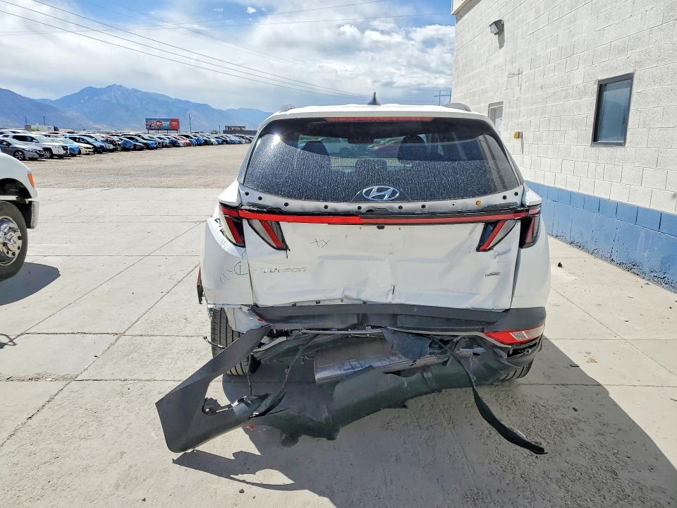 Продаж на аукціоні авто 2023 Hyundai Tucson, vin: 5NMJFCAE3PH234383, номер лоту: 59598996