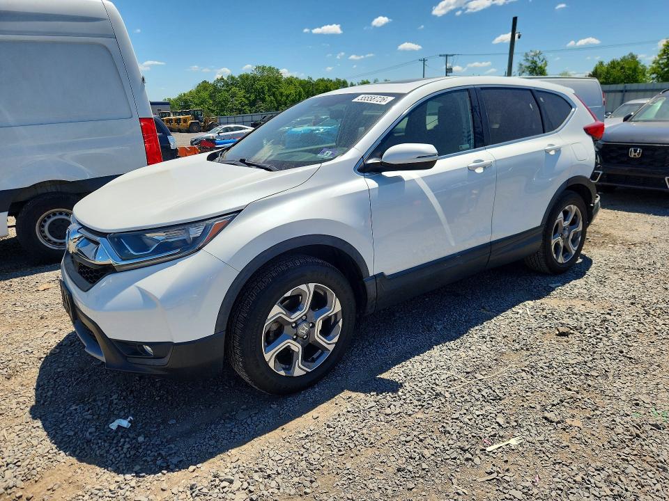 55558726 :رقم المزاد ، 7FARW2H53KE018745 vin ، 2019 Honda Cr-v مزاد بيع