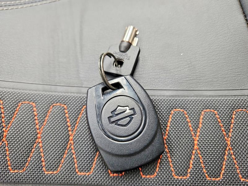 Aukcja sprzedaży 2024 Harley-davidson Flhx, vin: 5HD1KB737RB613607, numer aukcji: 58373566