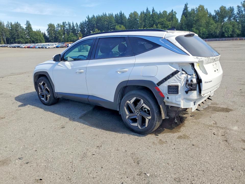 2024 Hyundai Tucson მანქანა იყიდება აუქციონზე, vin: 5NMJECDE0RH311437, აუქციონის ნომერი: 58920516