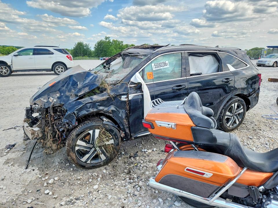 2022 Kia Sorento მანქანა იყიდება აუქციონზე, vin: KNDRMDLH7N5080749, აუქციონის ნომერი: 55592286