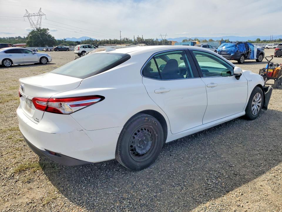 Продажа на аукционе авто 2019 Toyota Camry, vin: 4T1B31HKXKU007055, номер лота: 55948516