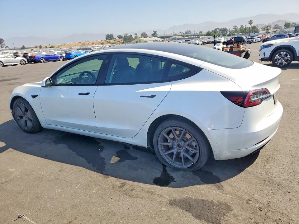 Aukcja sprzedaży 2023 Tesla Model 3, vin: 5YJ3E1EA4PF411029, numer aukcji: 55455916