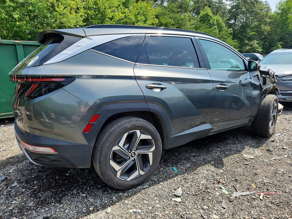 2023 Hyundai Tucson მანქანა იყიდება აუქციონზე, vin: 5NMJECAEXPH210245, აუქციონის ნომერი: 55468296