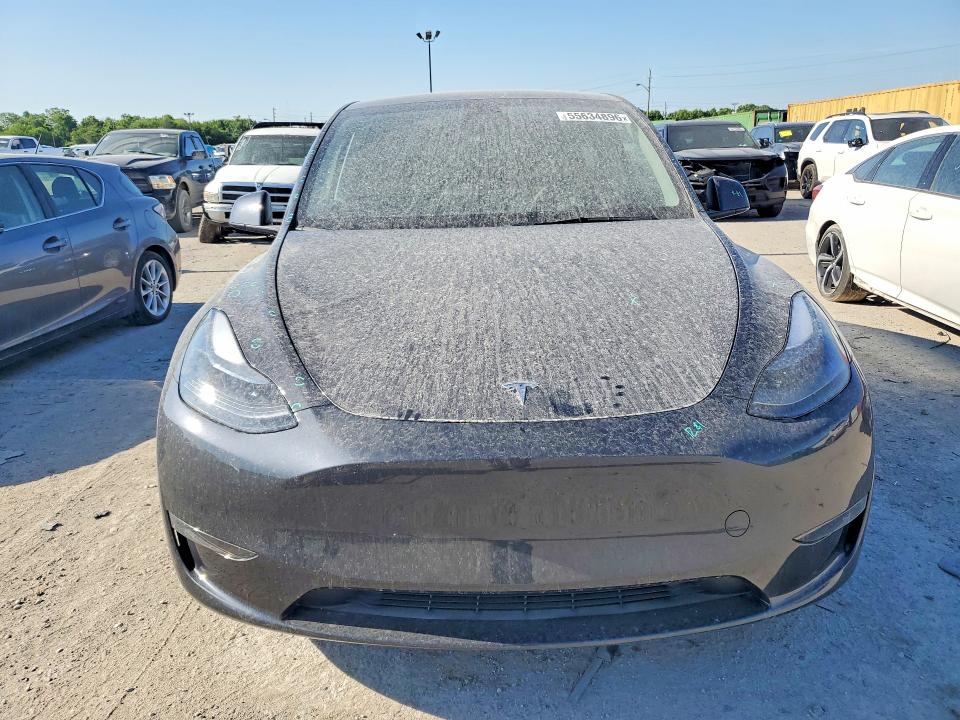 Продажа на аукционе авто 2024 Tesla Model Y, vin: 7SAYGDEE0RF195836, номер лота: 55634896