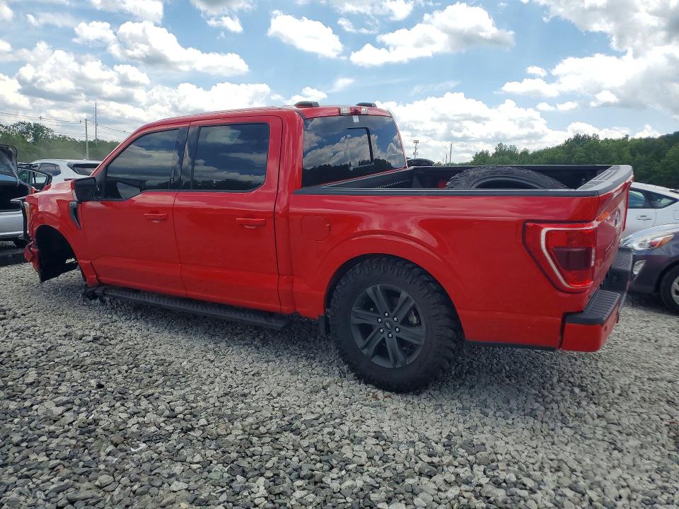2021 Ford F150 მანქანა იყიდება აუქციონზე, vin: 1FTEW1EP1MKE63825, აუქციონის ნომერი: 56858806