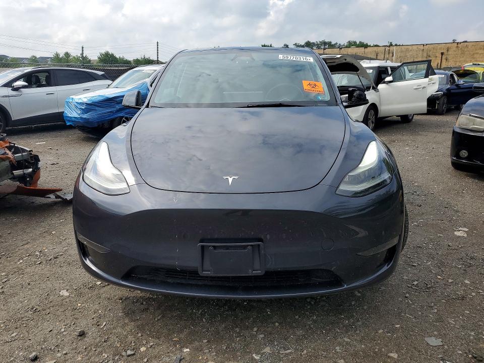 Продажа на аукционе авто 2024 Tesla Model Y, vin: 7SAYGDEE5RA241531, номер лота: 59170316