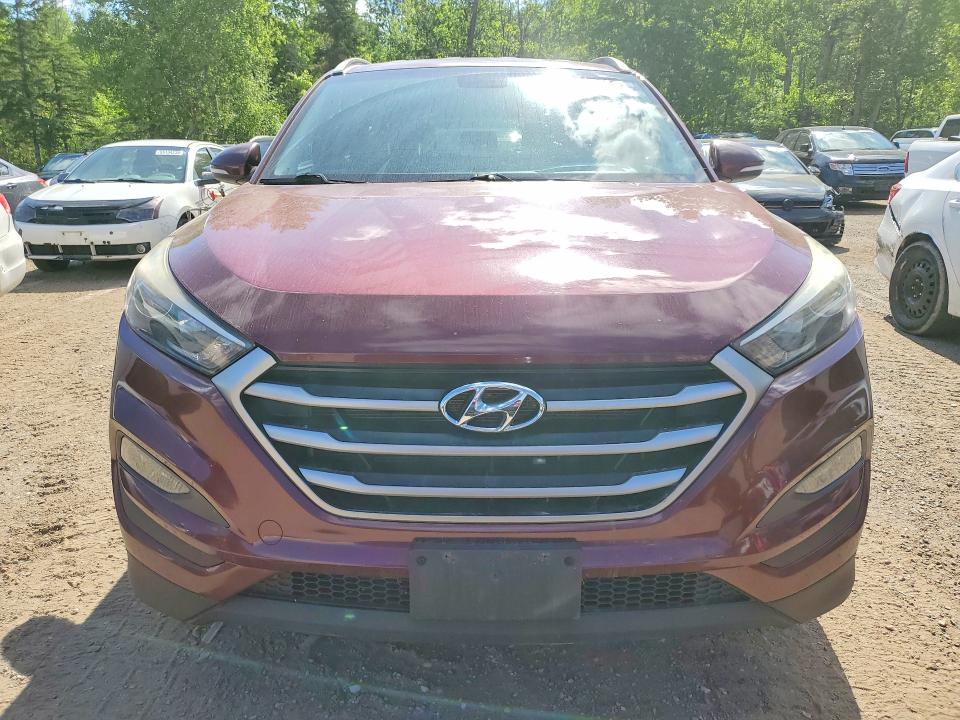 Продажа на аукционе авто 2017 Hyundai Tucson, vin: KM8J3CA44HU489985, номер лота: 56433606