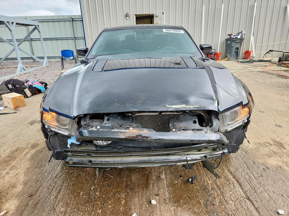56679926 :رقم المزاد ، 1ZVBP8CF0E5209345 vin ، 2014 Ford Mustang مزاد بيع