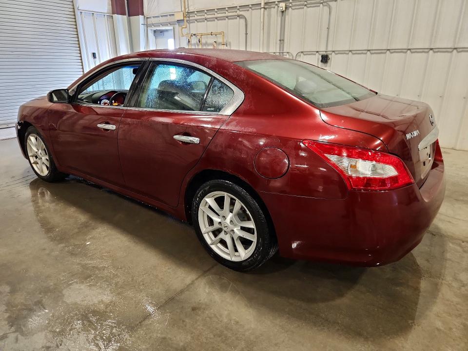 Продаж на аукціоні авто 2011 Nissan Maxima, vin: 1N4AA5AP2BC818315, номер лоту: 55745896