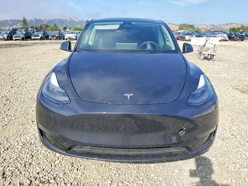 2024 Tesla Model Y მანქანა იყიდება აუქციონზე, vin: 7SAYGDEE9RF054179, აუქციონის ნომერი: 55980056
