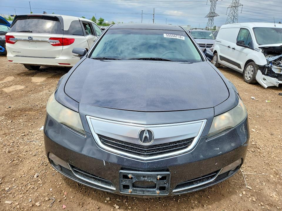 Продажа на аукционе авто 2014 Acura Tl, vin: 19UUA9F51EA000615, номер лота: 55556216
