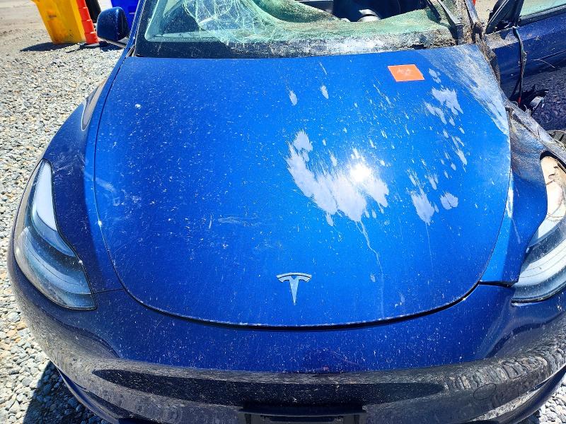 56144766 :رقم المزاد ، 7SAYGAEEXRF023506 vin ، 2024 Tesla Model Y مزاد بيع