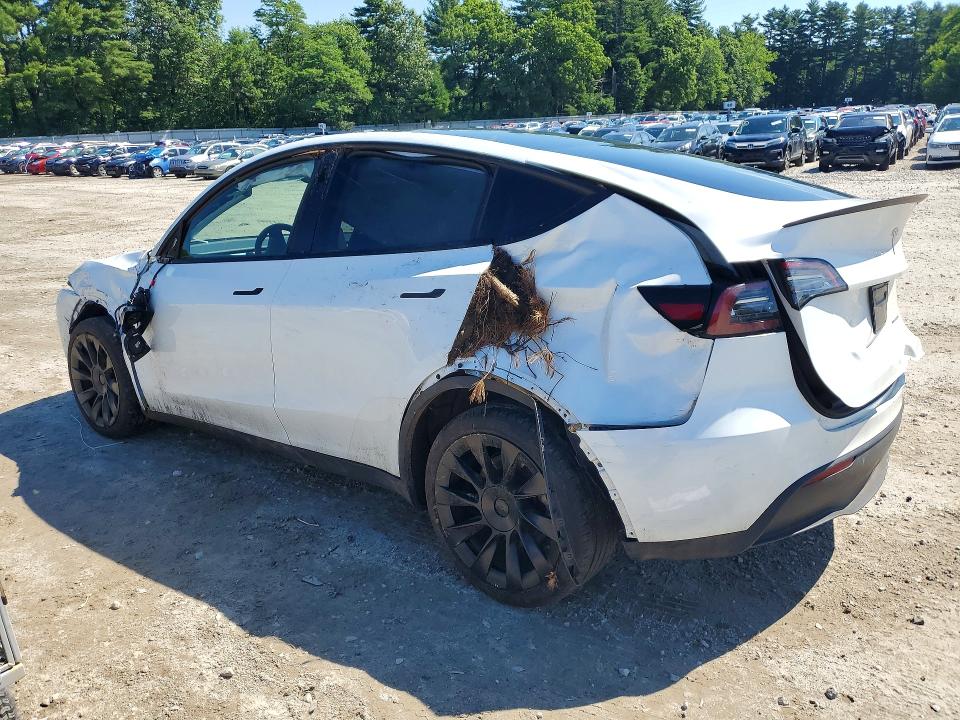 Aukcja sprzedaży 2023 Tesla Model Y, vin: 7SAYGDEE2PF851533, numer aukcji: 55862636