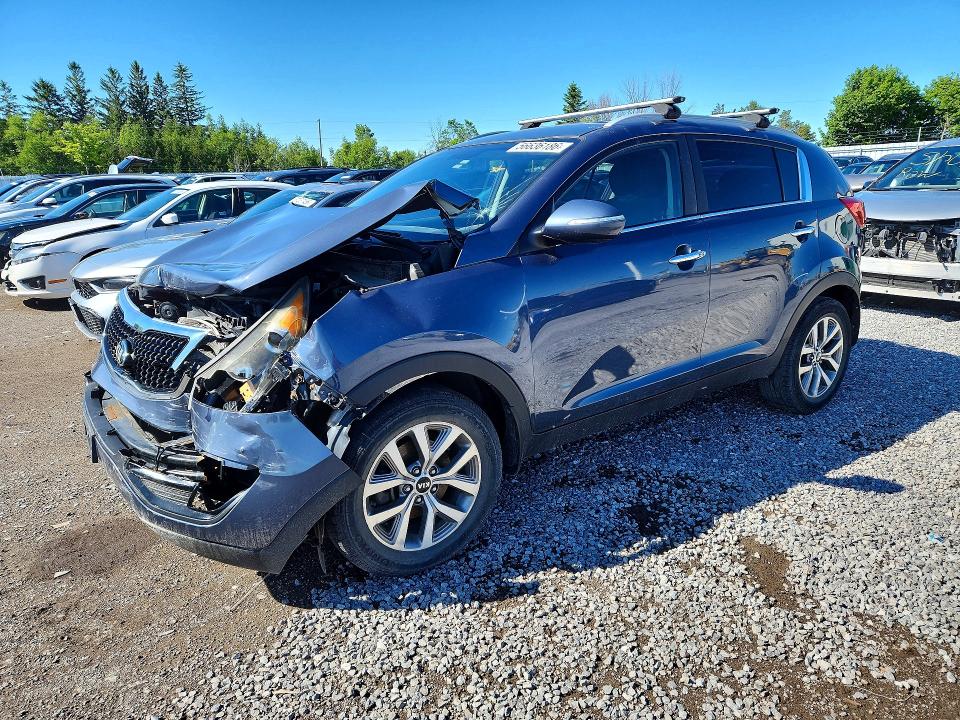 Продаж на аукціоні авто 2016 Kia Sportage, vin: KNDPC3AC9G7869178, номер лоту: 56636186
