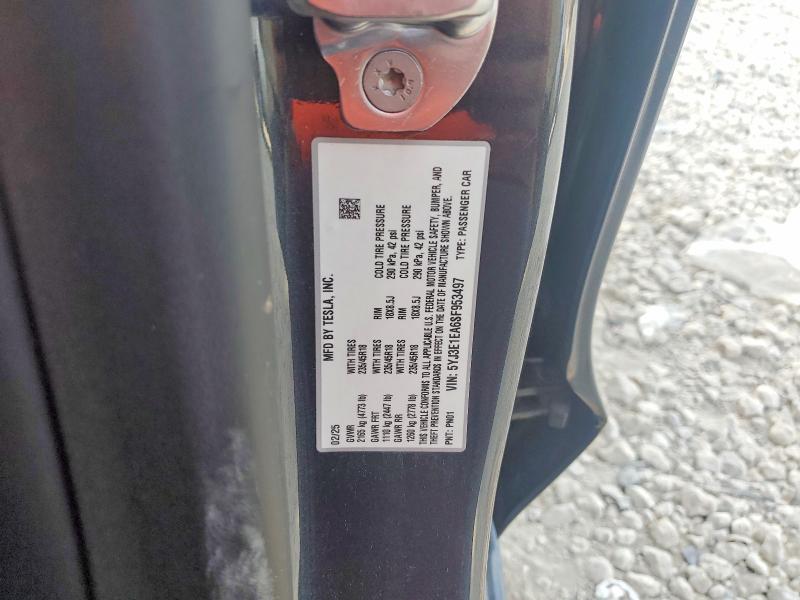 Auction sale of the 2025 Tesla Model 3, vin: 5YJ3E1EA6SF953497, lot number: 57121666