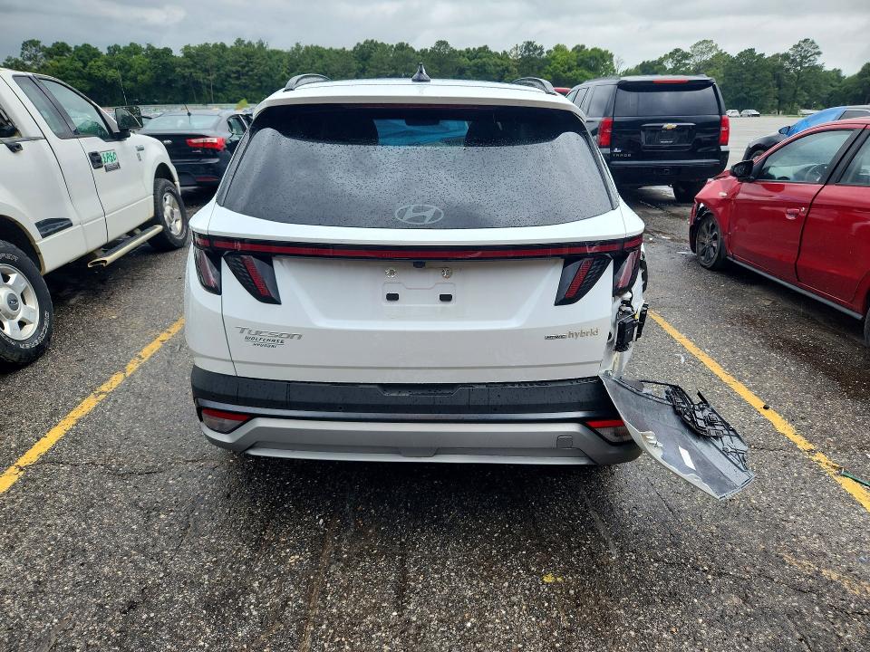 2025 Hyundai Tucson მანქანა იყიდება აუქციონზე, vin: KM8JEDD18SU351147, აუქციონის ნომერი: 57584006