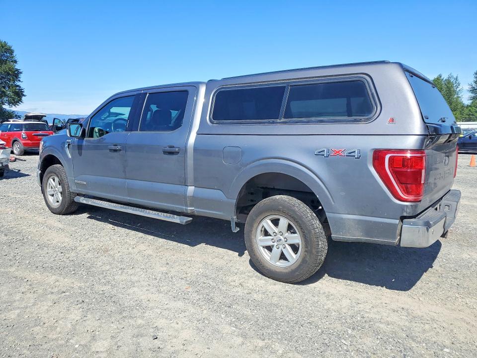 48834226 :رقم المزاد ، 1FTFW1ED7MFB79568 vin ، 2021 Ford F150 مزاد بيع