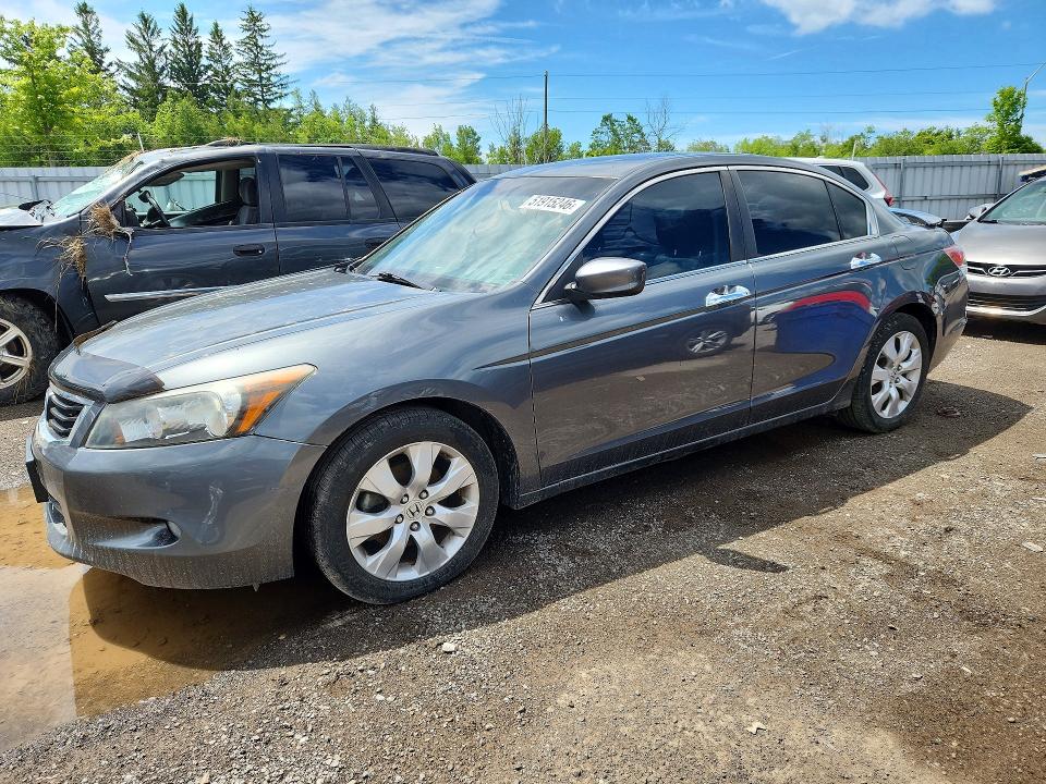 51915246 :رقم المزاد ، 1HGCP3F8XAA004822 vin ، 2010 Honda Accord مزاد بيع